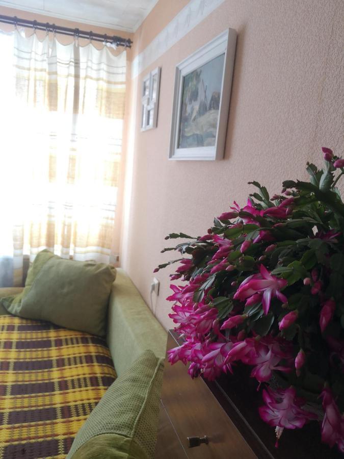 Dvinumajas Vintage B&B Balvi Luaran gambar